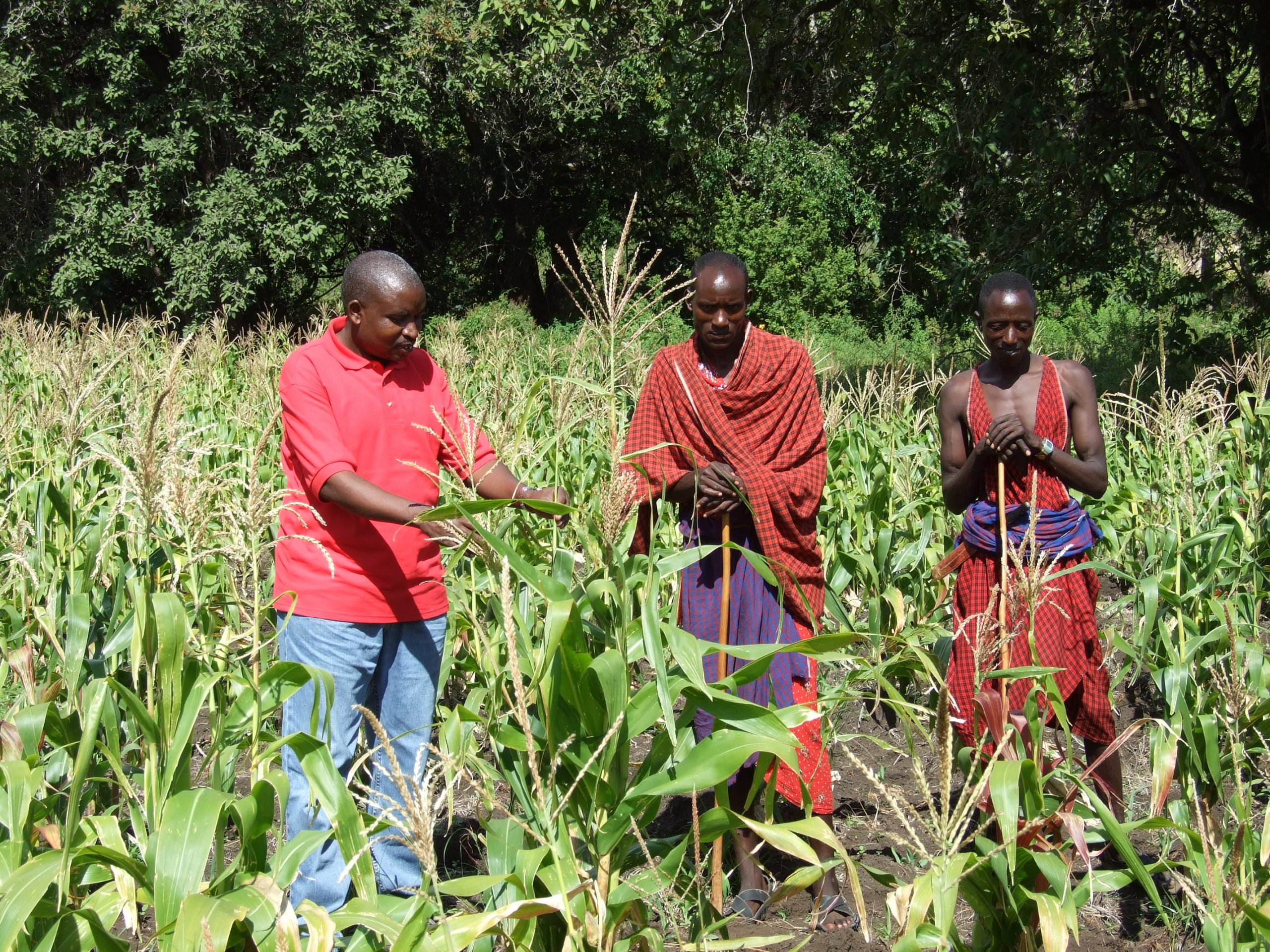 To proclaim the Good News of Christ to society through the social ministry of the Anglican Church of Kenya