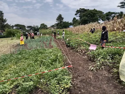 Recent community activity